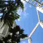 Shor American Seafood Grill - テラス席