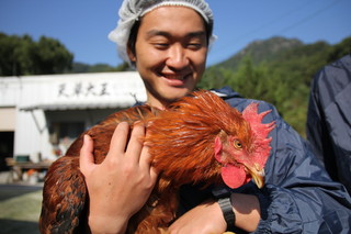 Sumibiyaki Maru - 熊本は天草まで行き飼育の現場を確認してきました。