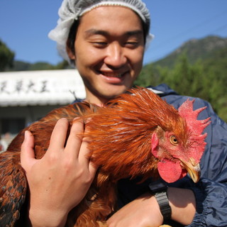 使用夢幻土雞“天草大王”等嚴選食材