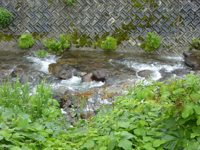 そば処 かねこ（ソバドコロ カネコ） - 村山市その他（そば）の写真