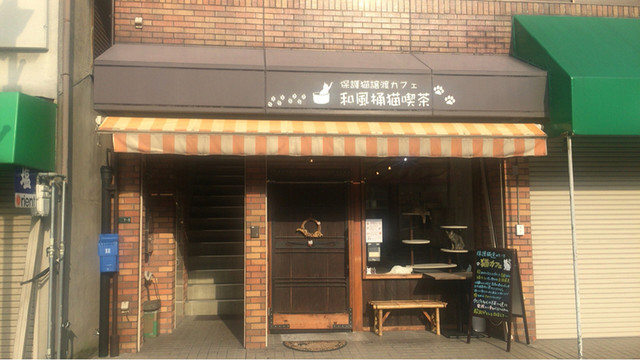 和風桶猫喫茶 ワフウオケネコキッサ 八木西口 その他 食べログ 和風桶猫喫茶 ワフウオケネコキッサ 八木西口 その他 食べログ