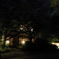 イムリ - 