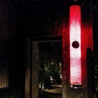 イムリ - 