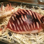 函館特大真イカ鉄板焼き【料理】