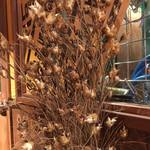 ブリューパブ テタールヴァレ - 