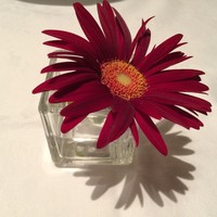 デュオ フルシェット - 