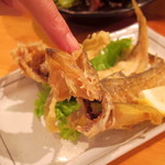 くつろぎ亭ひこべえ  - 2016年9月　誰かがハタ釣ってます！