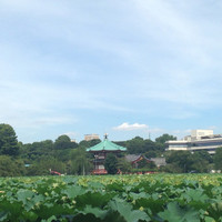 東天紅 上野店 - 