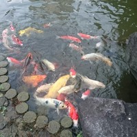 綱町三井倶楽部 - 