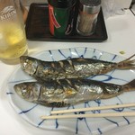 赤城 - イワシ201607