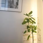 エスキス - ウェイティングルーム。