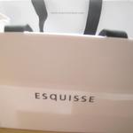 エスキス - お土産手提げ袋