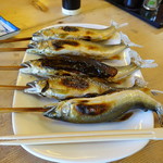 杉ケ瀬ヤナ - 今年はまあまあのサイズです