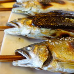 杉ケ瀬ヤナ - 獰猛な顔が天然の証拠