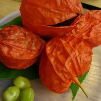 赤坂 菊乃井 - 