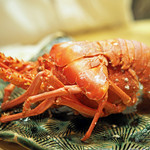 初音鮨 - 茹で上がった千葉の伊勢海老