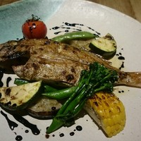 雪梅花 菜根譚 - 