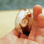 初音鮨 - ３．１ｋｇ久里浜の地蛸の握り（３点前菜のひとつ）