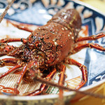 初音鮨 - 千葉の伊勢海老