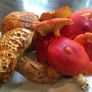 アル チェッポ_2