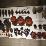 マルモキッチン - どんぐり泥棒…？