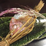 Kappou Chiyo - 祝い鯛のおこわ蒸し。創業50年祭にて。