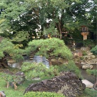 がんこ 高瀬川二条苑 - 中庭は美しい！