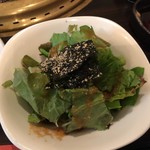 SATOブリアン - グリーンサラダ（2016/7）