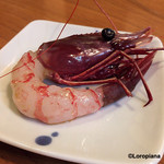 千陽 - 幻のぶどう海老