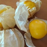 カフェベビーティアーズ - 食用ほうずきをいただきました。