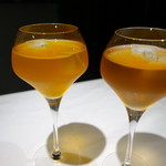 TSU・SHI・MI - ルイボスティー　ハニーブッシュ(右）とグリーンルイボス