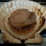 まりも亭 - ホタテ