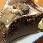 Masujuu - 岩牡蠣