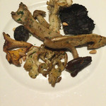 マッシュルーム - 季節のキノコのソテー(2016年9月)12時の位置から時計回りに白舞茸、トンビマイタケ、オオモミタケ、ヤナギマツタケ、タモギタケ、ジロール、クロカワ、オオイチョウタケ、ショウゲンジ