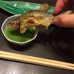 柏屋 大阪千里山 - 