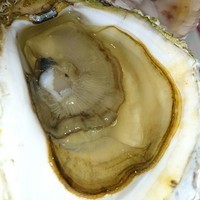 グランド・セントラル・オイスターバー&レストラン 品川店 - 岩牡蠣 "九十九島" (長崎)♥
                ( ☆∀☆)