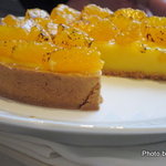 ポンドールイノ - 