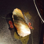 江戸心 山ぼうし - 