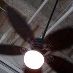 アロハテーブル - アロハテーブル