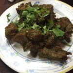 ソルティカージャガル