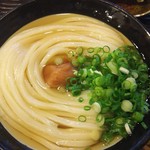 うどん 丸香 - 冷やかけ梅干し入り