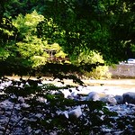 青森りんごキッチン - 庭から眺める奥入瀬渓流