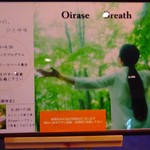 青森りんごキッチン - アクティビティ