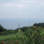 一夜城 ヨロイヅカ・ファーム - 眼下に広がる相模湾