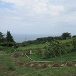 一夜城 ヨロイヅカ・ファーム - 農園