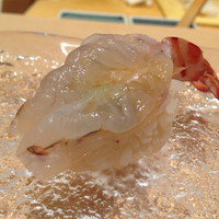 鮨 木島 - 生エビ。
