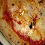 北海道イタリアン ミアボッカ 札幌駅北口店 - 十勝産チーズがトロトロ