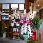 手打ち蕎麦 仙太郎 - 内観：お店のいたるところに開店祝のお花や観葉植物が！　2016.08