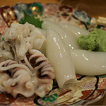 かねます - 16/9月 墨烏賊新物