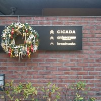 CICADA - 